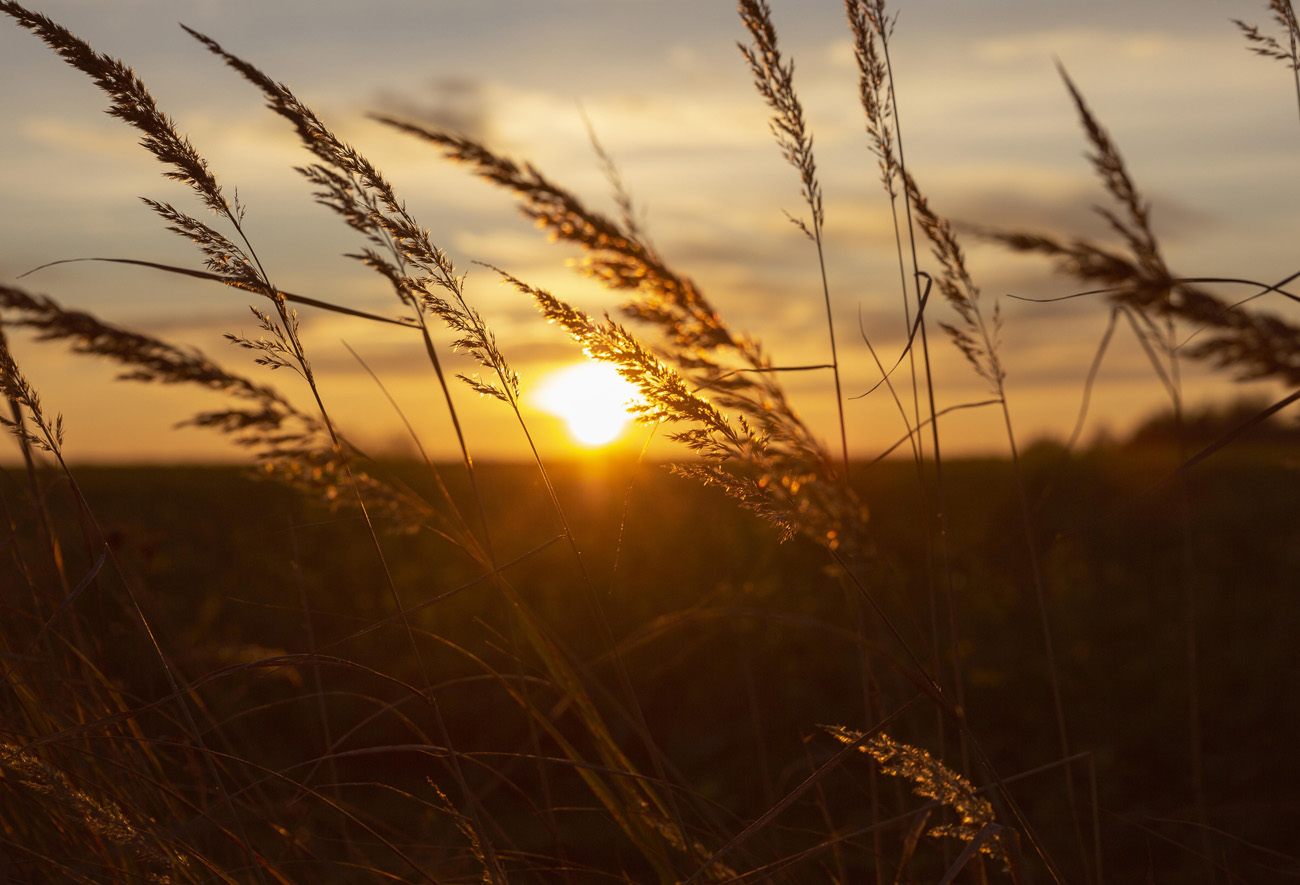 still-alive-and-kicking-blog